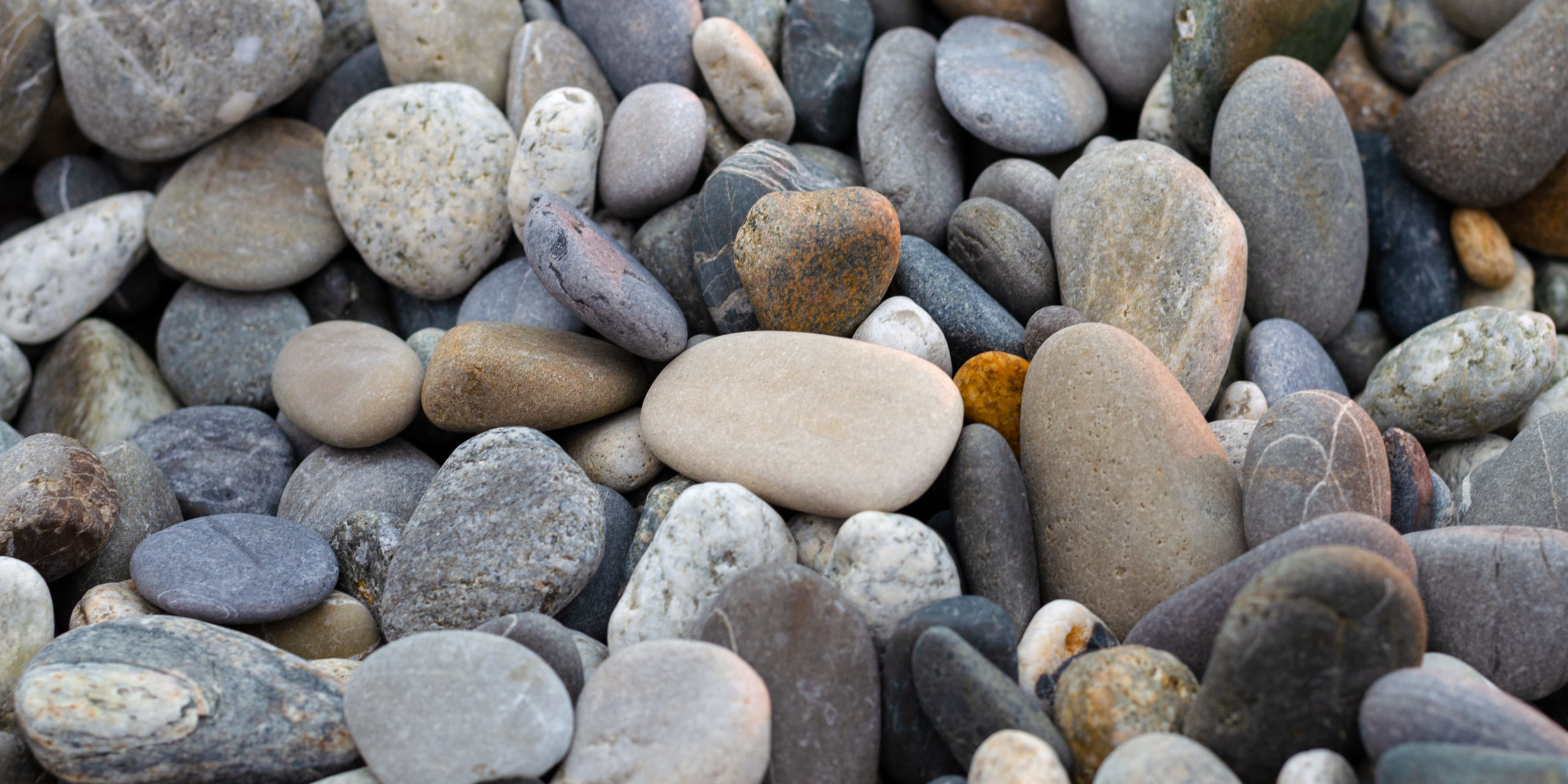 Pebbles on the beach: gray, white and purple stones