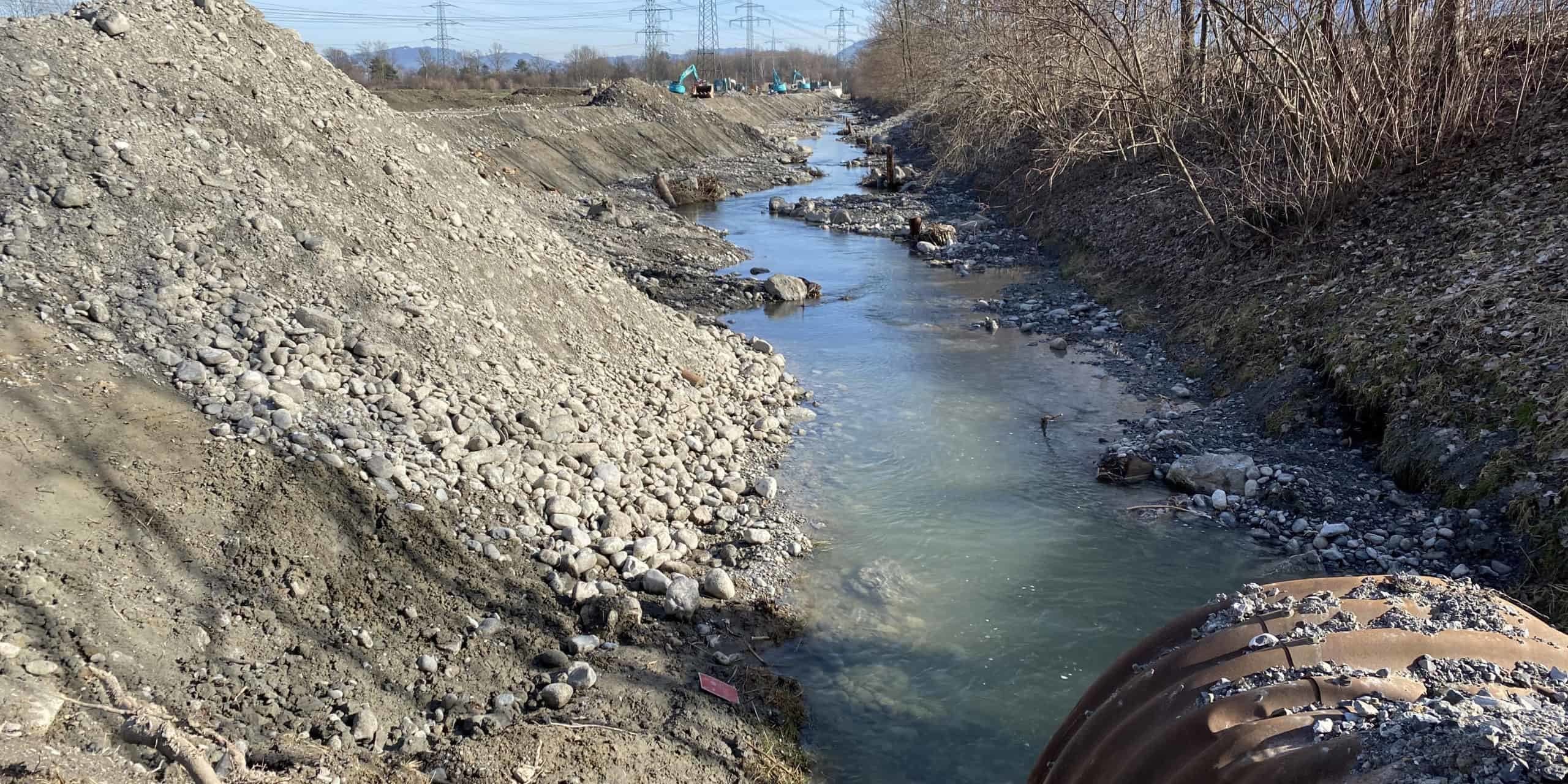 Renaturierung_Feb_21